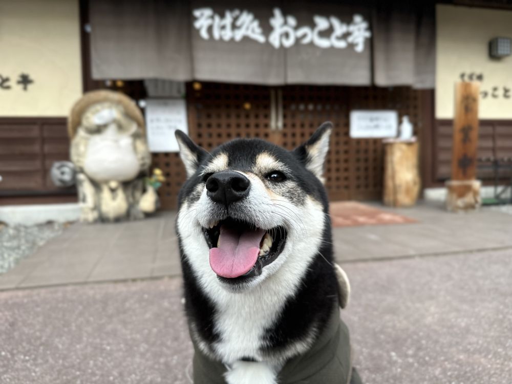 そば処 おっこと亭