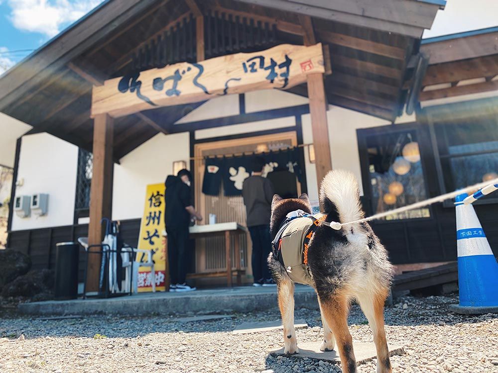 そば処 田村