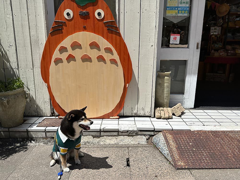 旧軽井沢銀座通り