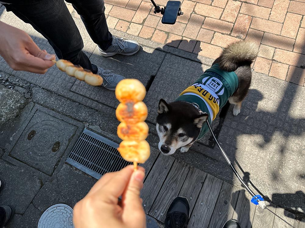 旧軽井沢銀座通り