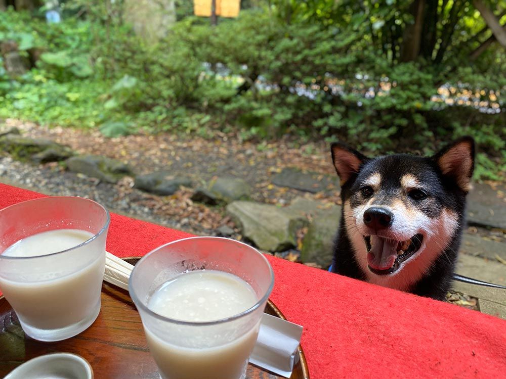 箱根　甘酒茶屋