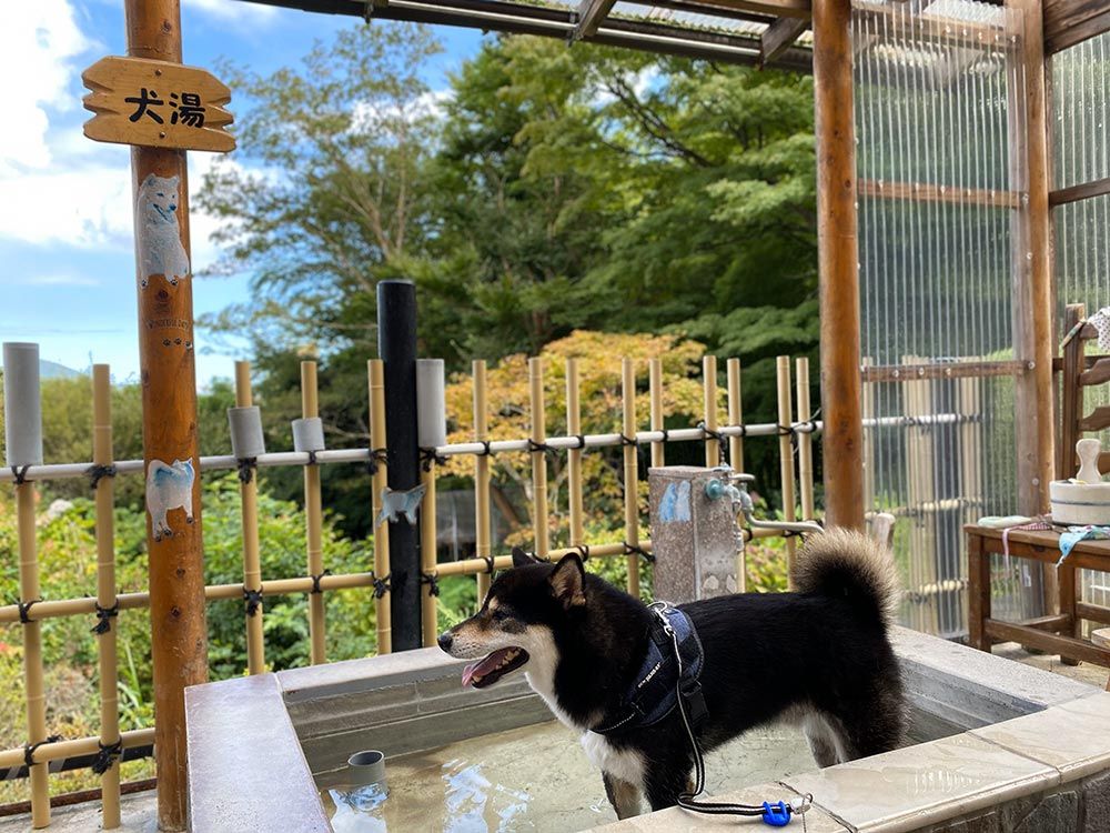 箱根の森足湯（二ノ平温泉供給）