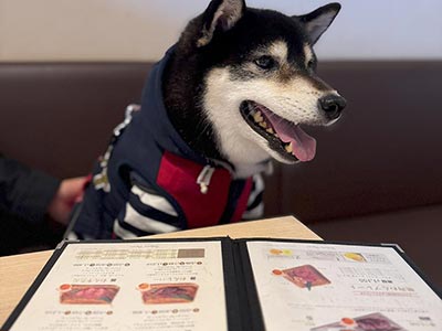肉菜工房 うしすけ クロスガーデン多摩店