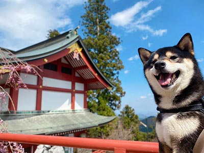 武藏御嶽神社