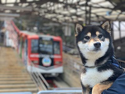 御岳山ケーブルカー(御岳山登山鉄道)