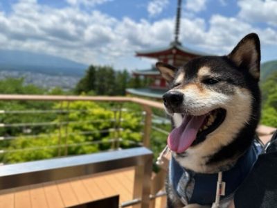 新倉山浅間公園・忠霊塔