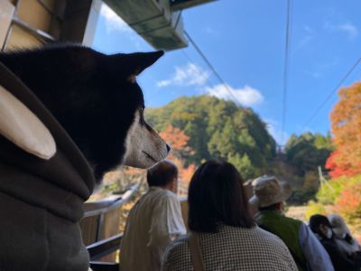 昇仙峡ロープウェイ