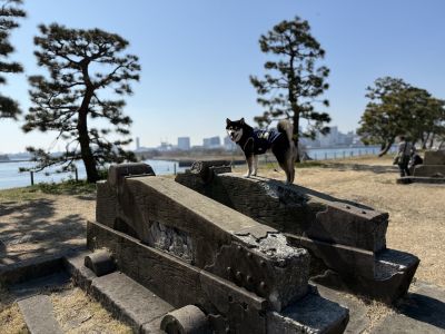 台場公園