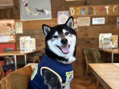 DOG DEPT お台場東京ビーチ店(カフェ&レストラン)