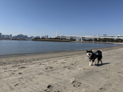 おだいばビーチ