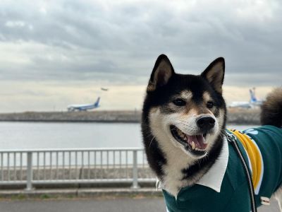 城南島海浜公園