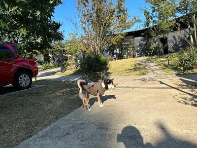 町田薬師池公園 四季彩の杜 西園