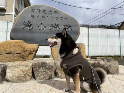 滝山城城跡