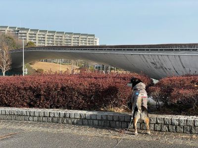 稲城中央公園
