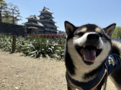 松本城公園