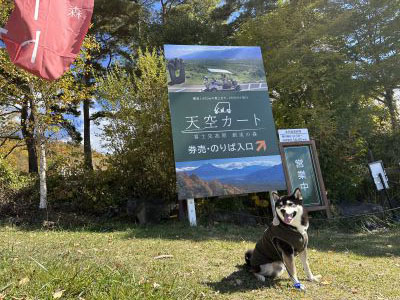 観光スポット