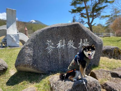 蓼科牧場