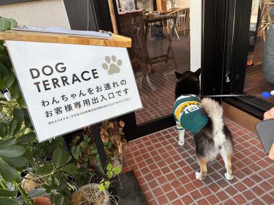 飲食店