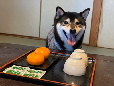 宿泊施設