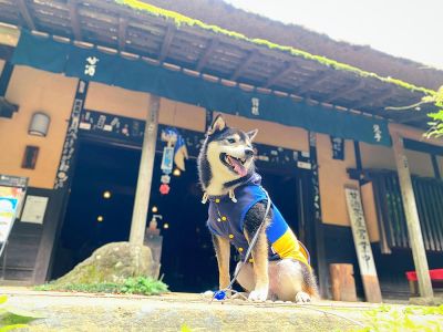 飲食店