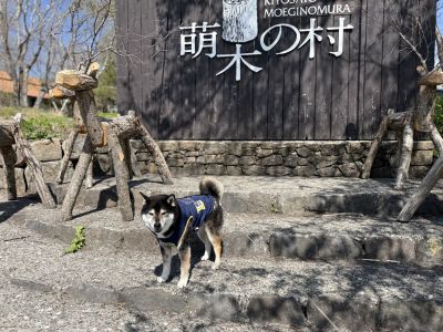 萌木の村