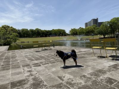 観光スポット