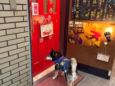 飲食店