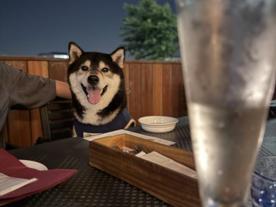 飲食店