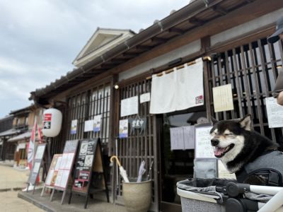 飲食店