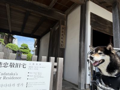 観光スポット