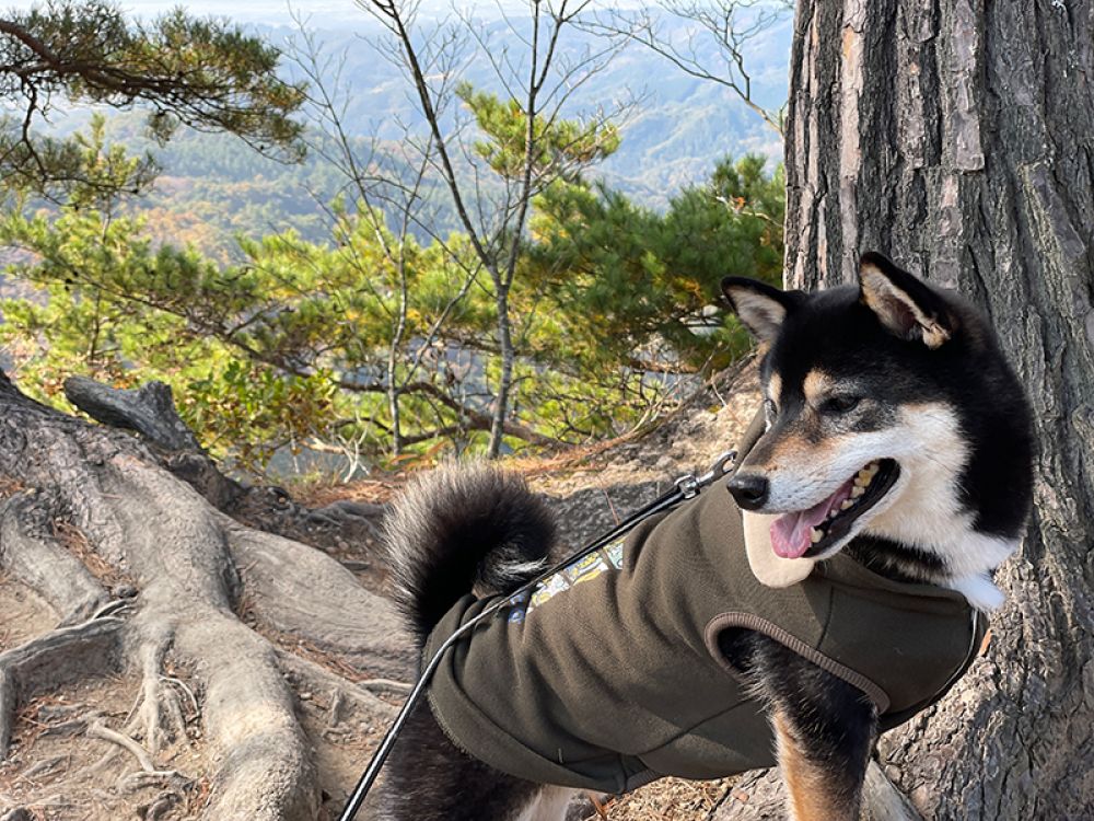 昇仙峡パノラマ台展望台