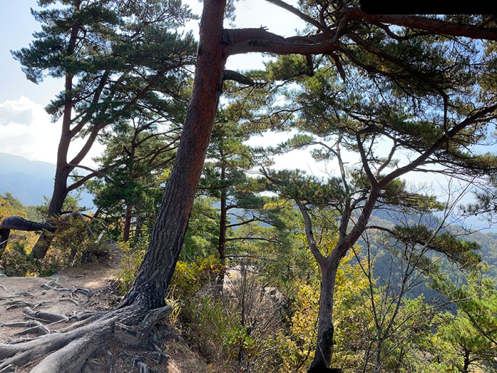 昇仙峡パノラマ台展望台