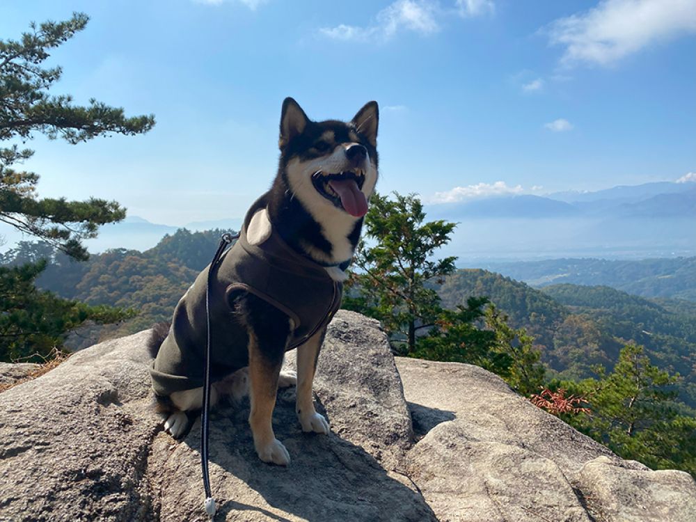 昇仙峡パノラマ台展望台