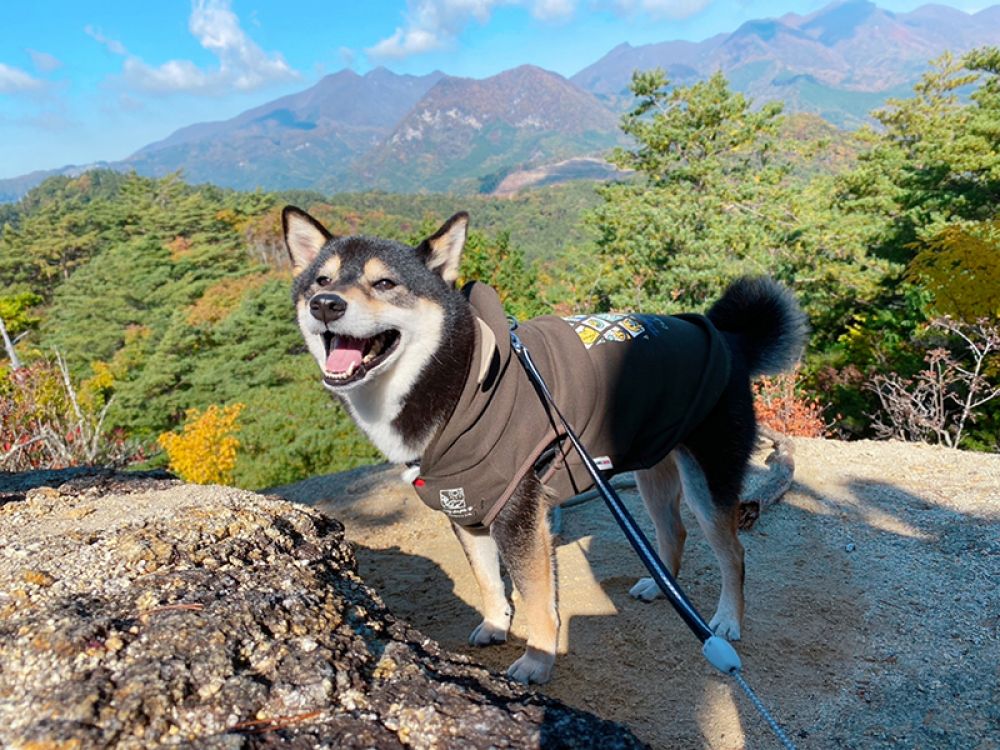 昇仙峡パノラマ台展望台