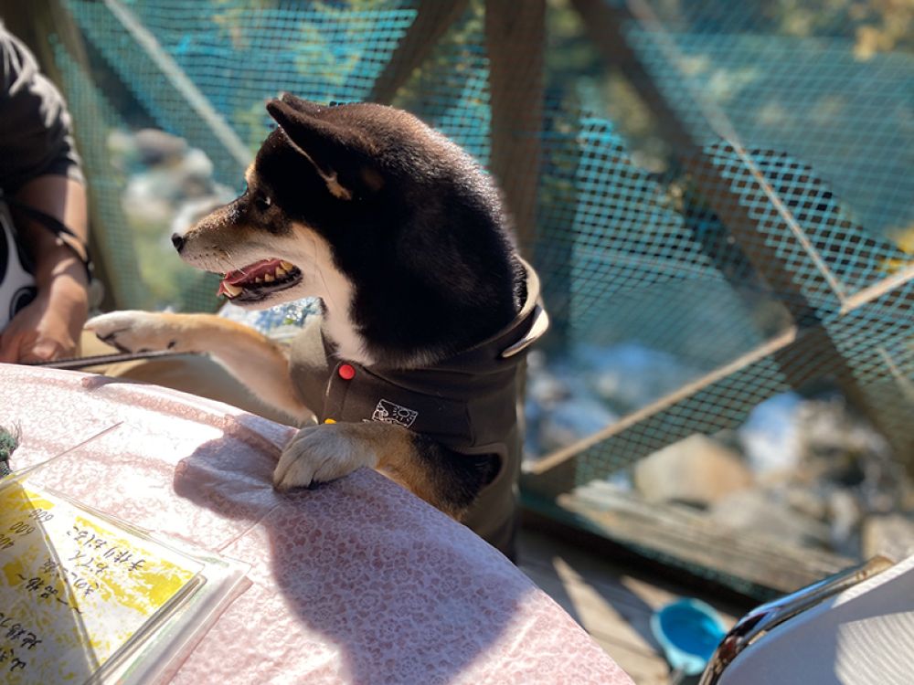 昇仙峡めん処　樹光庵