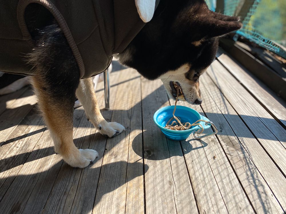 昇仙峡めん処　樹光庵