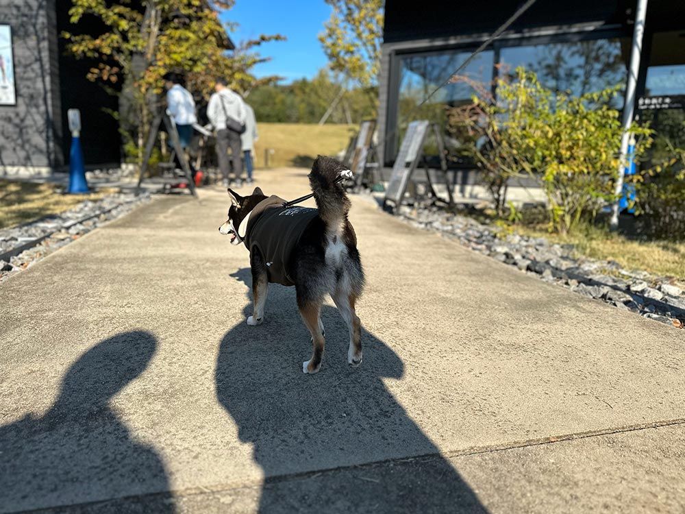 町田薬師池公園 四季彩の杜 西園