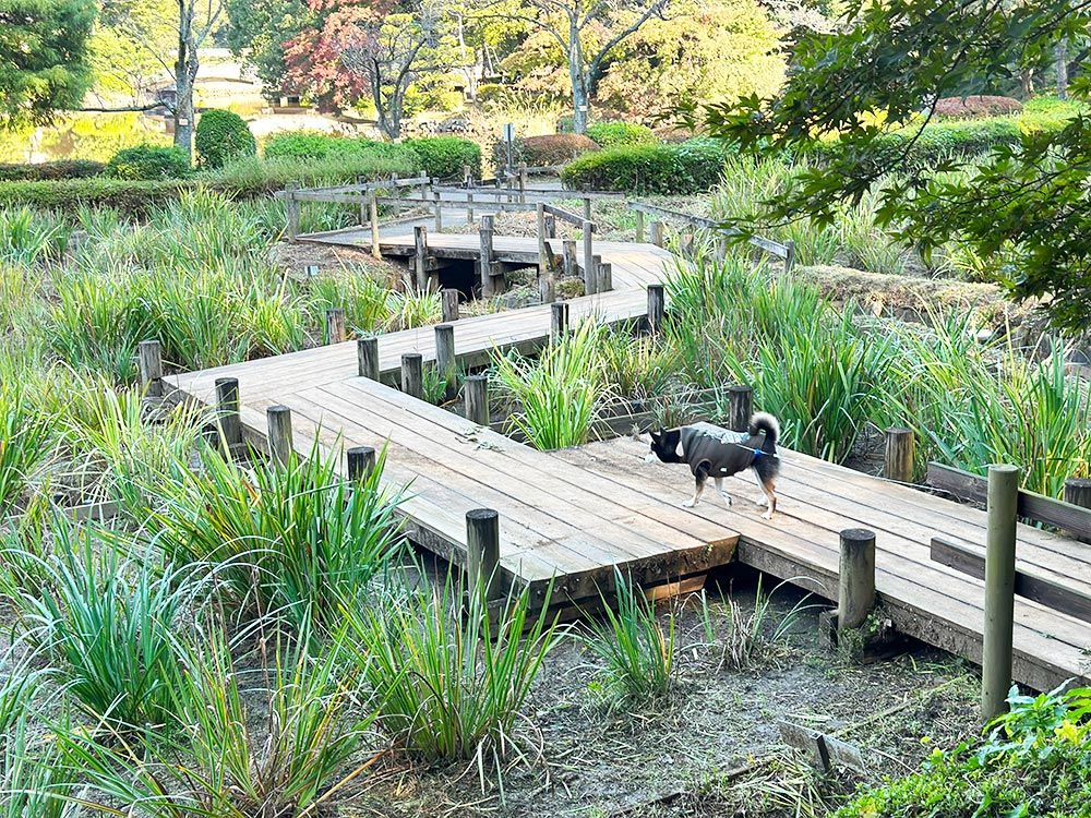 町田薬師池公園｜四季彩の杜