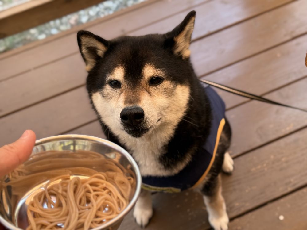 そば処 おっこと亭