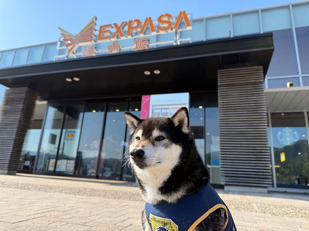 談合坂サービスエリア 下り