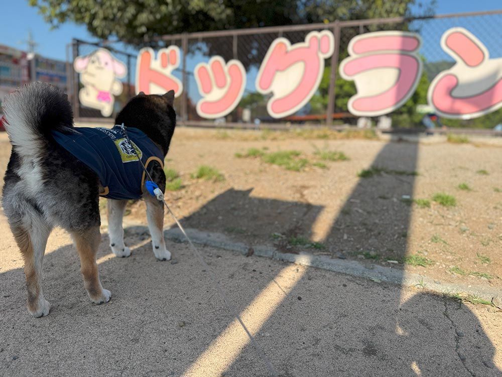 談合坂サービスエリア 下り