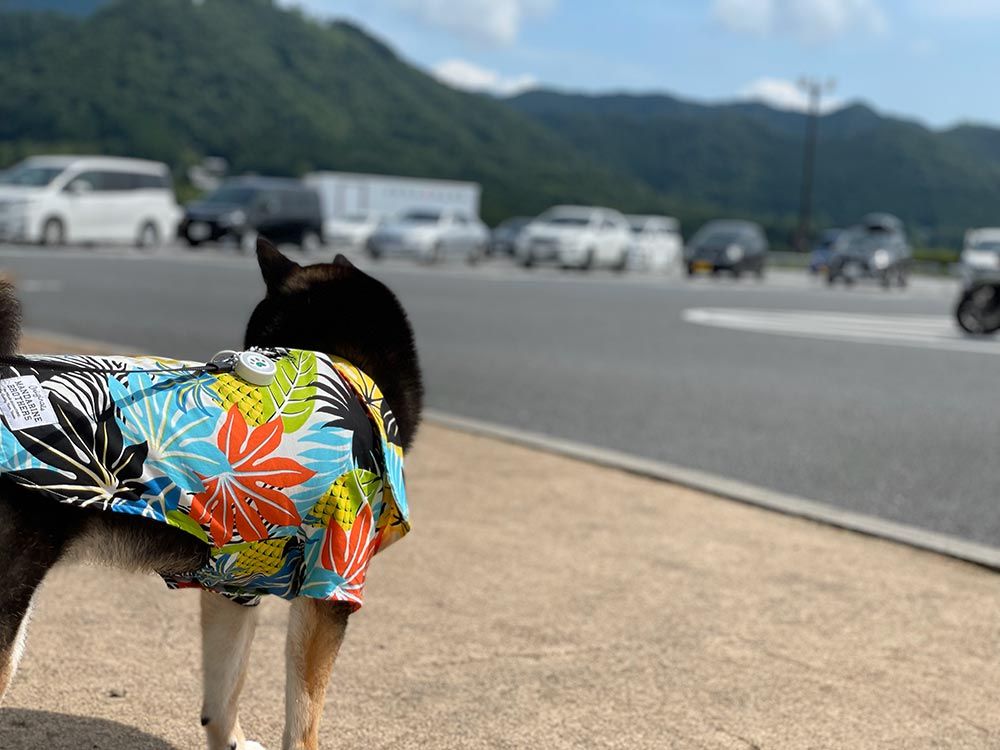 談合坂サービスエリア 下り