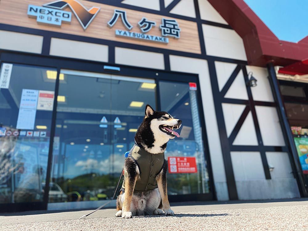 八ヶ岳パーキングエリア 下り