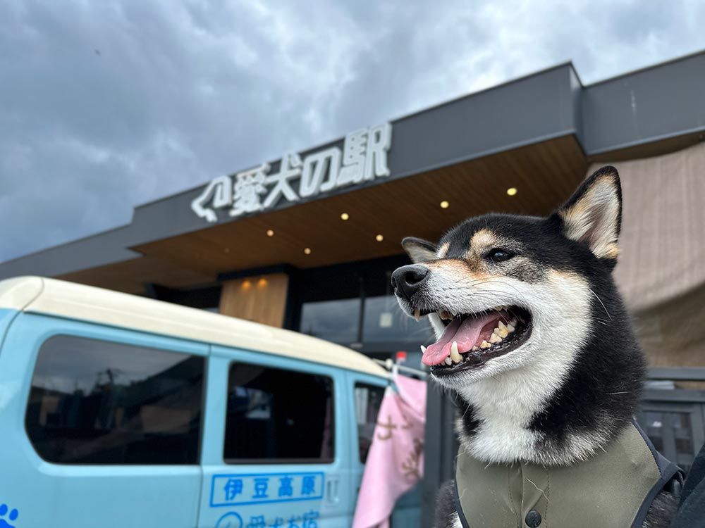 愛犬の駅 伊豆高原