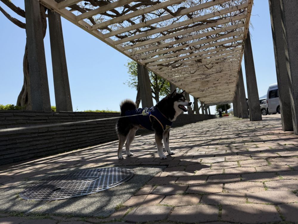 諏訪湖サービスエリア 下り