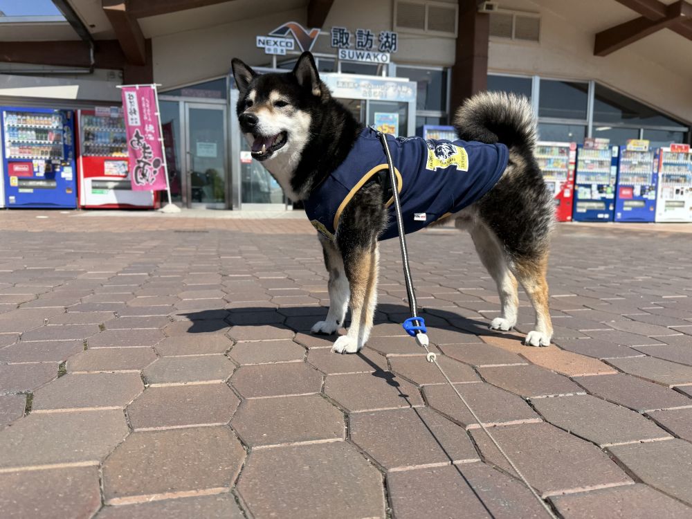 諏訪湖サービスエリア 下り