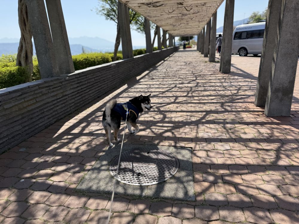 諏訪湖サービスエリア 下り