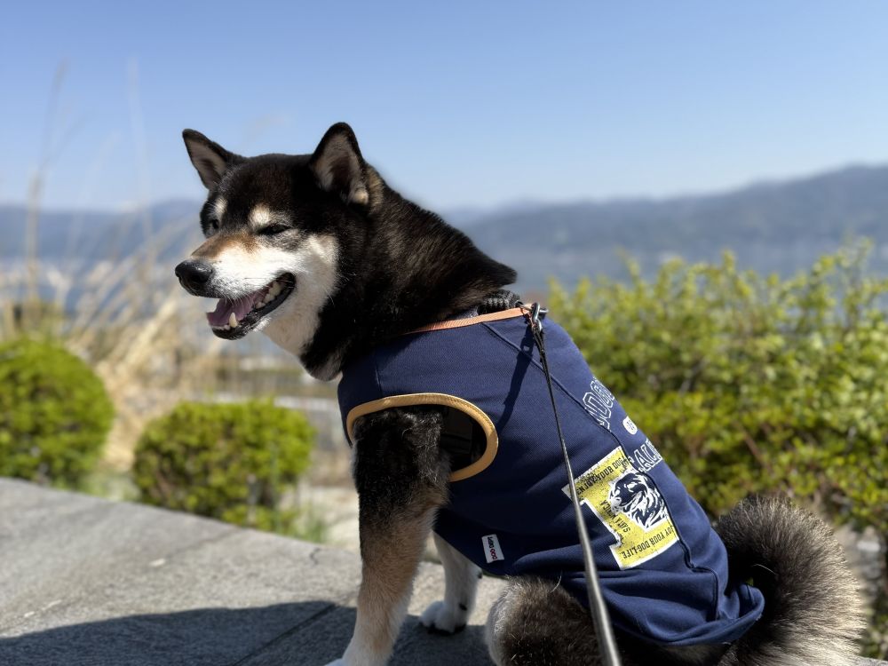 諏訪湖サービスエリア 下り