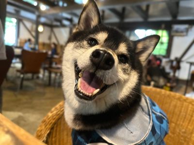 飲食店