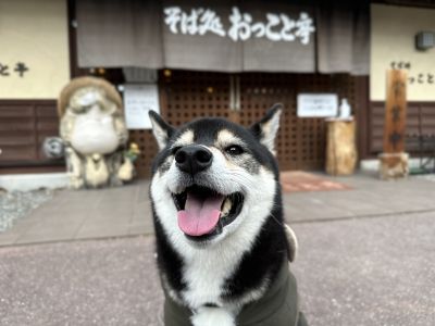 飲食店